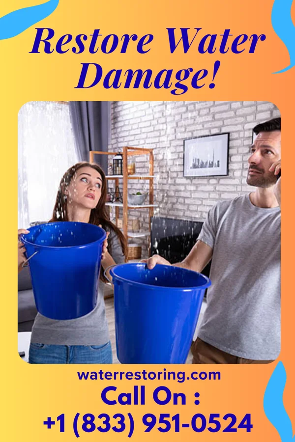 water restoration Empire Water Damage LLC Molena